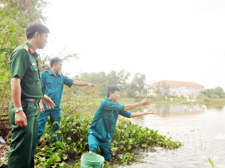 Dân quân xã Xuân Tâm cho cá ăn sau giờ làm việc chiều.