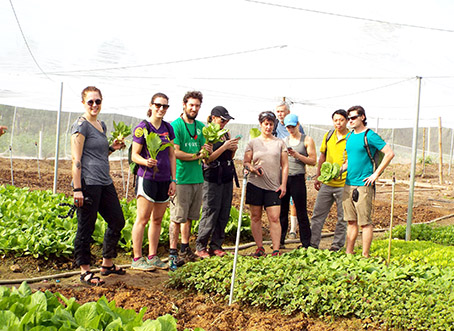 Du khách nước ngoài tham quan vườn rau sạch nằm trong Khu Bảo tồn thiên nhiên - văn hóa Đồng Nai. (Ảnh do Khu Bảo tồn thiên nhiên - văn hóa Đồng Nai cung cấp)