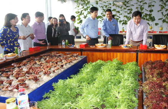 Đoàn công tác đến tham quan mô hình nông nghiệp công nghệ cao trồng rau, trái theo hướng hữu cơ của Công ty TNHH Trang Trại Việt