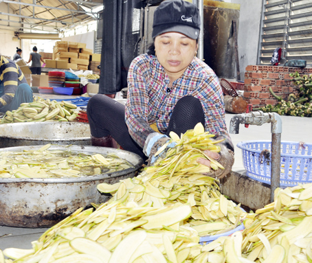 Chị Nguyễn Thị Hoa Liên (ngụ ấp Nguyễn Huệ 2, xã Quang Trung, huyện Thống Nhất) bào chuối để chế biến tại một cơ sở sản xuất chuối chiên.