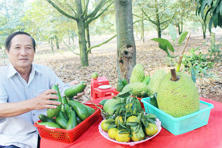 Ông Nguyễn Thanh Bình (xã Xuân Bảo, huyện Cẩm Mỹ) giới thiệu những trái cây đặc sản vườn nhà cho hiệu quả kinh tế cao.