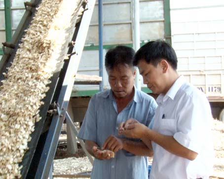 Ông Nguyễn Trung Quang (trái) giới thiệu dây chuyền chế biến cây tràm xuất khẩu.