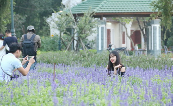 một nữ du khách tạo dáng chụp ảnh ở cánh đồng hoa tại Hội hoa xuân Trấn Biên