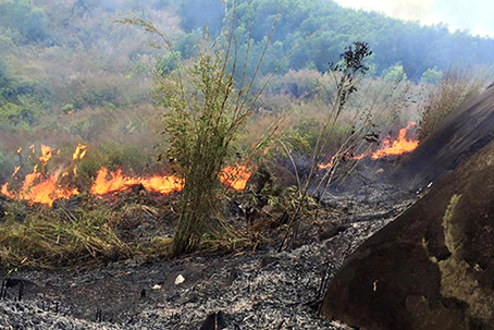 Đoàn kiểm tra về phòng cháy, chữa cháy rừng đi kiểm tra tại núi Chứa Chan, huyện Xuân Lộc. ảnh: Cảnh sát PCCC tỉnh cung cấp