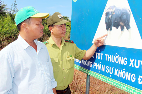 Việc bảo vệ và tạo môi trường sinh cảnh cho bò tót sinh sống thời gian qua được cán bộ, nhân viên Khu Bảo tồn thiên nhiên - văn hóa Đồng Nai đặc biệt chú trọng tuyên truyền đến người dân.