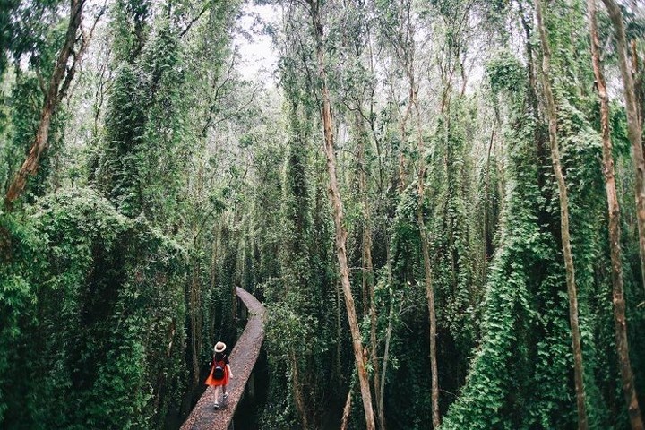 Làng nổi Tân Lập, Long An: Đến đây du khách có rất nhiều lựa chọn khi có thể khám phá con đường mòn xuyên rừng tràm dài 5km hay thăm thú vẻ đẹp vùng đầm lầy và chiêm ngường những hồ sen nở tuyệt đẹp.