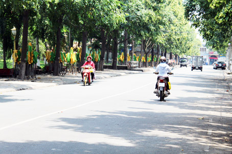 Một góc đường Trịnh Hoài Đức (TP.Biên Hòa) khá thông thoáng.