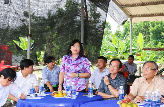 Phó chủ tịch UBND tỉnh Nguyễn Hòa Hiệp phát biểu tại buổi họp