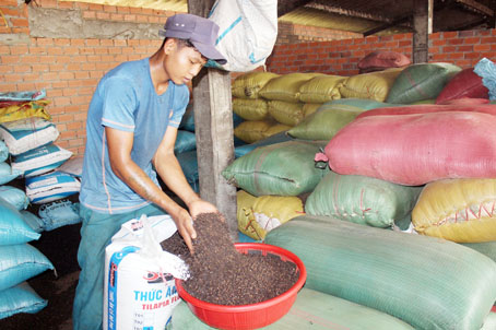 Công nhân đóng tiêu xuất khẩu tại một cơ sở tiêu ở xã Thanh Bình (huyện Trảng Bom).