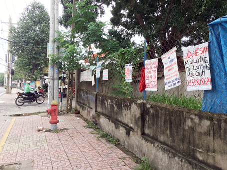 Dù có quy định xử phạt nhưng vi phạm quảng cáo vẫn tràn lan.