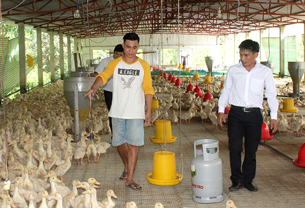 Anh Vi Đức Lộc (bìa trái) đưa cán bộ, đoàn viên thanh niên tham quan mô hình chăn nuôi vịt.