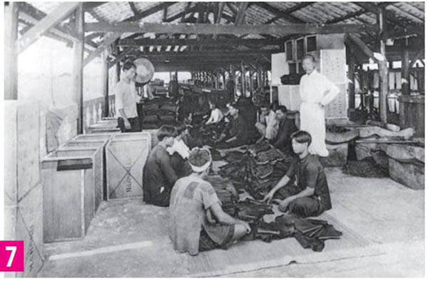 Công nhân phân loại cao su trước khi đóng gói tại Công ty cao su De la Souchère.