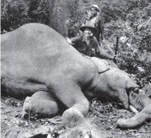 Voi rừng bị tay thợ săn người Pháp bắn chết tại vùng rừng Gia Ray (nay thuộc huyện Xuân Lộc) vào đầu thế kỷ 20.