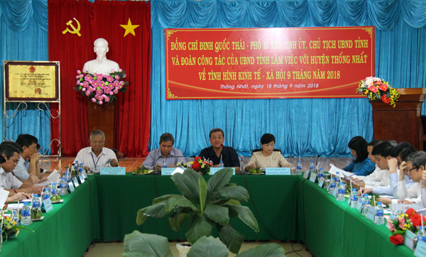 Chủ tịch UBND tỉnh Đinh Quốc Thái và Phó chủ tịch UBND tỉnh Nguyễn Quốc Hùng chủ trì buổi làm việc.