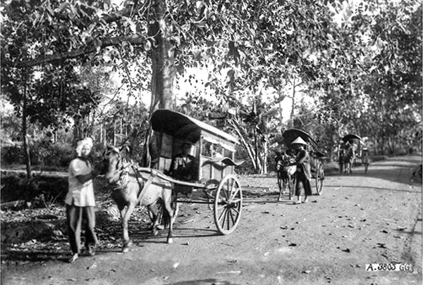Xe thổ mộ, tức xe ngựa là một trong những phương tiện giao thông khá phổ biến vào đầu thế kỷ 20. Trong ảnh: Xe thổ mộ trên đường phố Biên Hòa xưa.