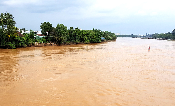 Ven sông Cái đoạn từ gần cầu Hiệp Hòa kéo dài 3,2km về phía hạ lưu bờ nội ô thành phố sẽ được triển khai kè gia cố để chống sạt lở.