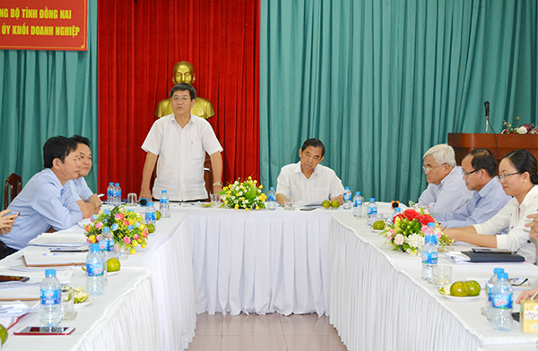Bí thư Đảng ủy Khối DN tỉnh Tạ Huy Hoàng, phát biểu tại buổi kiểm tra. 
