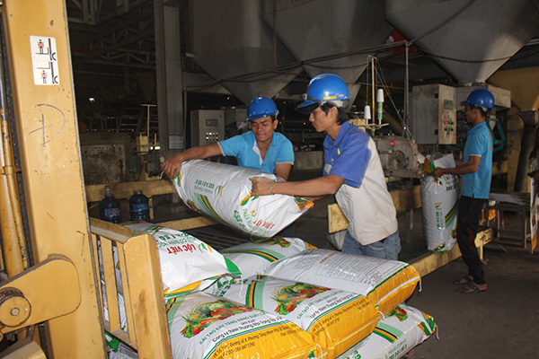 Nông dân bức xúc vì thị trường phân bón tăng bất thường. Trong ảnh: Công nhân đang đóng gói phân bón tại một cơ sở sản xuất ở huyện Xuân Lộc.