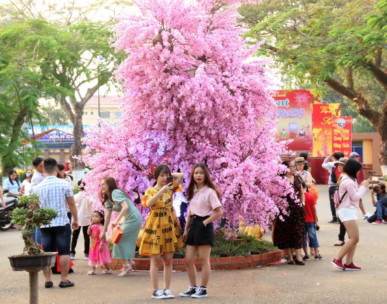 Người dân chụp ảnh với cây hoa đào không lồ ở đường hoa xuân Kỷ Hợi 2019, TX.Long Khánh