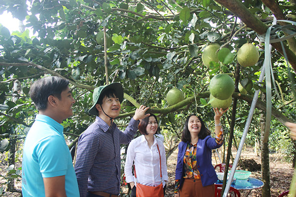 Cục trưởng - Chánh văn phòng Điều phối nông thôn mới Trung ương Nguyễn Minh Tiến (thứ 2 từ trái qua) Trưởng đoàn khảo sát thực tế nông thôn mới tại Đồng Nai vào cuối tháng 1-2019
