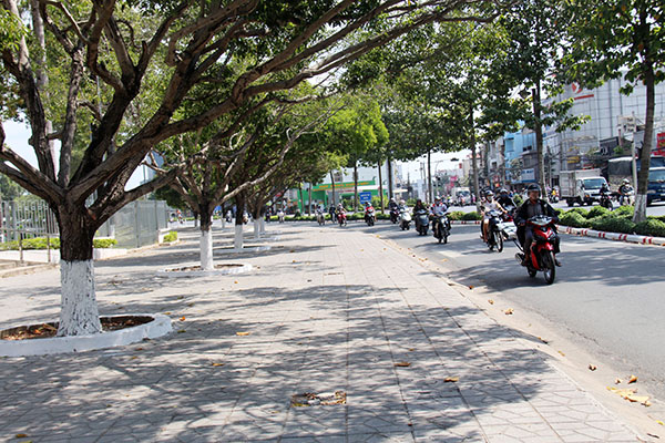 Dải cây xanh ở đường Nguyễn Ái Quốc (TP.Biên Hòa)