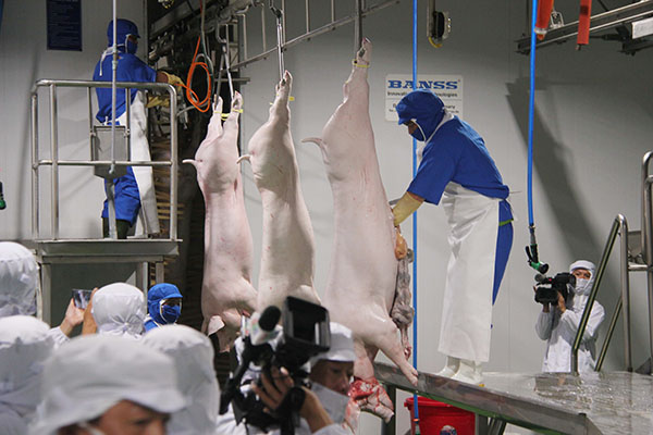 Dây chuyền giết mổ heo tại Nhà máy chế biến thực phẩm Đồng Nai (huyện Trảng Bom). Ảnh: TL