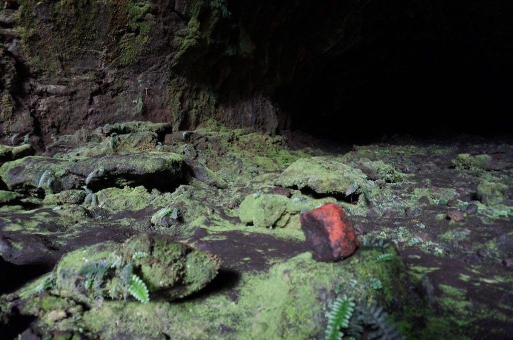 Hiện tại, hệ thống hang động núi lửa ở Đắk Nông vẫn còn khá nguyên vẹn, chỉ có những đoàn nghiên cứu và ít người dân lui tới. Tỉnh Đắk Nông cũng đã làm hồ sơ để trình UNESCO công nhận đây là công viên địa chất toàn cầu.