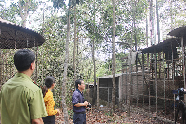 Các thành viên tổ chức bảo vệ động vật hoang dã tiếp nhận 6 cá thể khỉ tại Trung tâm Lâm Nghiệp Biên Hòa