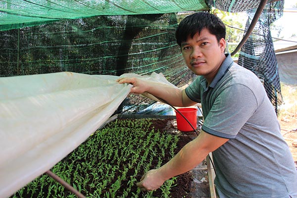 Đoàn viên Nguyễn Đức Quang (Chi đoàn ấp Trường An, xã Thanh Bình, huyện Trảng Bom) rời bỏ giảng đường đại học về quê nhà mở phòng nuôi cấy mô thực vật nhằm cung cấp giống chuẩn giá rẻ cho nông dân