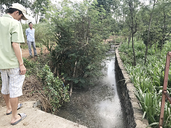 Mương nước đặc quánh chất thải từ các trại chăn nuôi