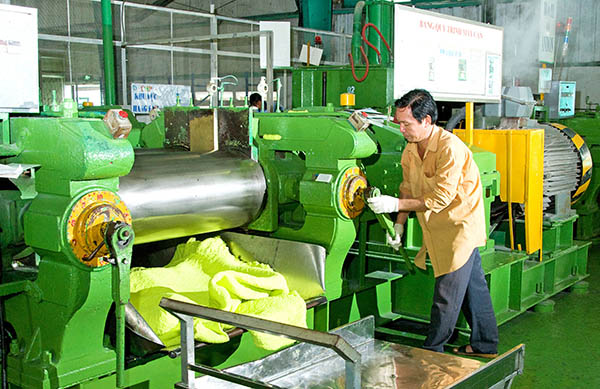 Sản xuất giày dép xuất khẩu tại Công ty TNHH Taekwang Vina ở Khu công nghiệp Biên Hòa 2 (TP.Biên Hòa)