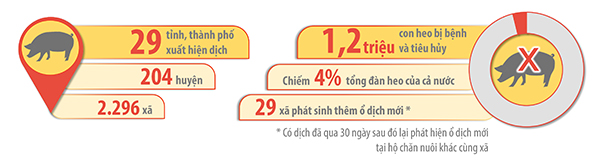 Tình hình dịch tả heo châu Phi trên cả nước tính đến nay Thông tin: BÌNH NGUYÊN Đồ họa: HẢI QUÂN