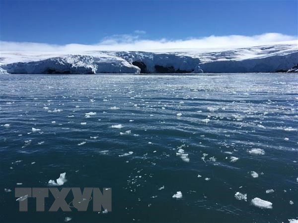 Băng trôi trên sông băng Collins ở Nam Cực. (Nguồn: AFP/TTXVN)