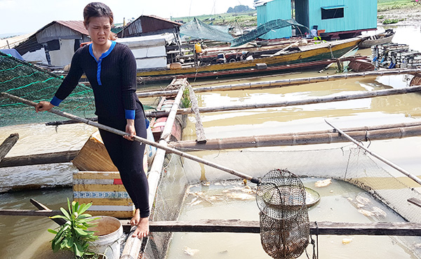 Người nhà của hộ nuôi cá bè Đặng Thành Vũ (xã Phú Ngọc) đang dọn nốt những con cá chết còn sót lại trên bè
