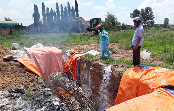 Lực lượng chức năng huyện Trảng Bom tiêu hủy heo bị dịch tả heo châu Phi do đoàn kiểm tra liên ngành của tỉnh phát hiện và thu giữ, giao cho địa phương xử lý. Ảnh: Tố Tâm