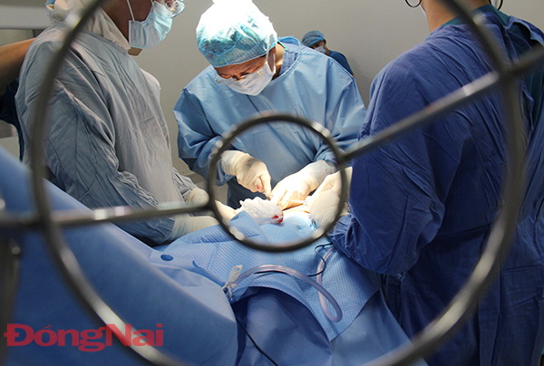 Trong nhiều năm qua, cứ đều đặn 4 lần/năm, giáo sư, bác sĩ René D.Esser lại thu xếp và tự bỏ tiền túi để từ Pháp về nước khám và phẫu thuật miễn phí cho bệnh nhân bị các bệnh về xương khớp tại nhiều bệnh viện ở Việt Nam, trong đó có Bệnh viện đa khoa Thống Nhất của Đồng Nai