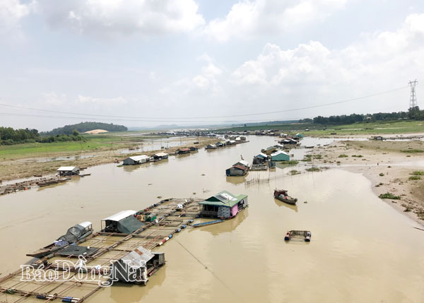 Làng cá bè trên sông La Ngà (huyện Định Quán) cần được quy hoạch lại cho phù hợp. Ảnh: B.Nguyên