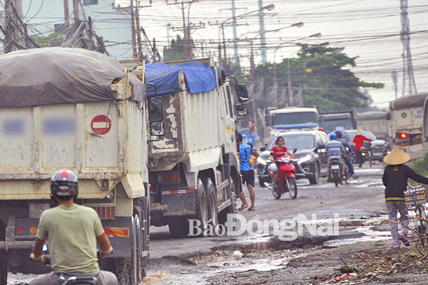 Những chiếc xe tải chở “vun ngọn” nối đuôi nhau di chuyển trên đường 319B đoạn qua xã Phước Thiền (huyện Nhơn Trạch)