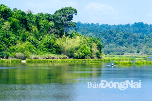 Đồng Nai đang xây dựng rừng kiểu mẫu - khu Bàu Sấu trong rừng tự nhiên