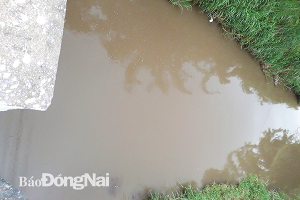 Hình ảnh xác minh của Phòng Nông nghiệp – phát triển nông thôn huyện Thống Nhất về các đoạn suối tại xã Lộ 25 không có tình trạng heo chết vào chiều ngày 24-7. Ảnh: N.T