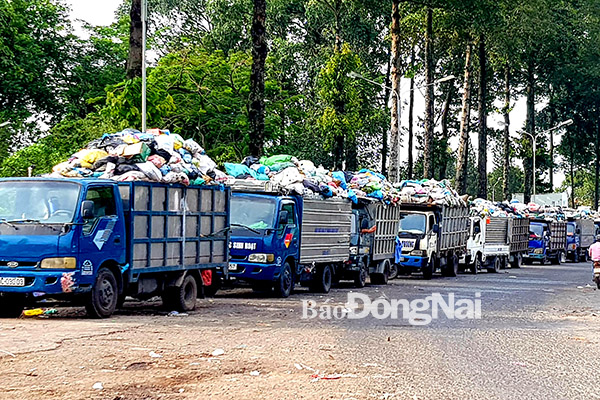 Các xe chở rác tập kết tại khu vực Công viên Long Bình chờ chuyển sang xe chuyên dùng. Ảnh: K.GIỚI