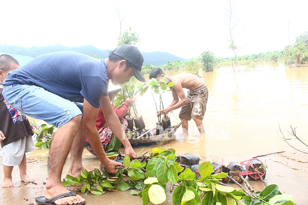 Nhiều người dân tại huyện Tân Phú đang cố gắng cứu lấy tài sản còn sót lại