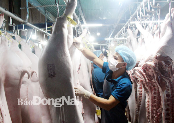 Heo VietGAHP truy xuất được nguồn gốc được giết mổ