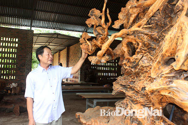 Nghệ nhân ưu tú Đoàn Minh Tiên ấp 5 xã Xuân Tâm (huyện Xuân Lộc) đang thực hiện tác phẩm từ gốc rỗ cây.