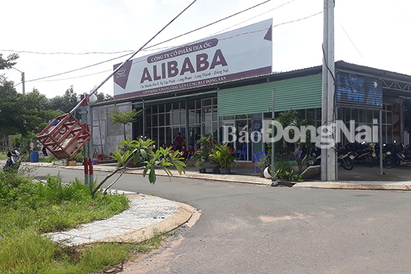 Mở rộng điều tra, làm rõ sai phạm của Công ty địa ốc Alibaba