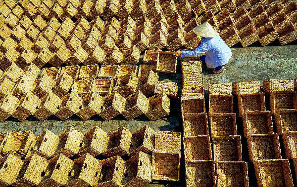 Tác phẩm Lục bình xuất khẩu của tác giả Lê Hữu Thiết