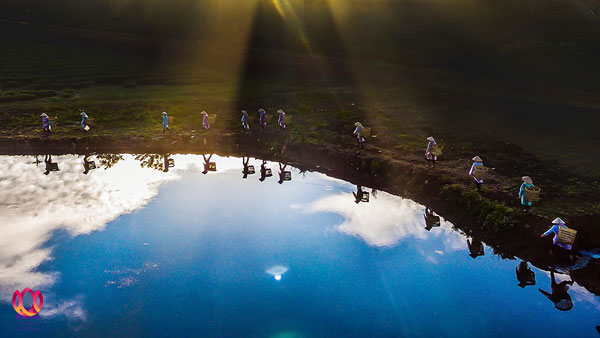 Tác phẩm Lên nương của tác giả Lò Văn Hợp