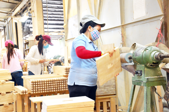 Hoạt động của một doanh nghiệp chế biến gỗ tại TP.Biên Hòa