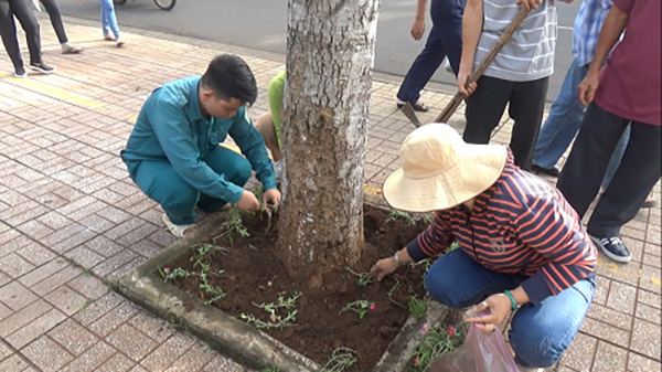 Tham gia trồng dặm hoa tại các bồn cây xanh