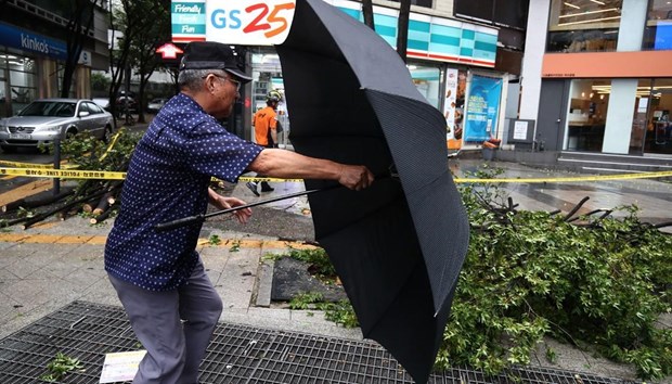Lingling là cơn bão thứ 13 trong năm nay mà Hàn Quốc phải đối mặt. (Ảnh: Getty)